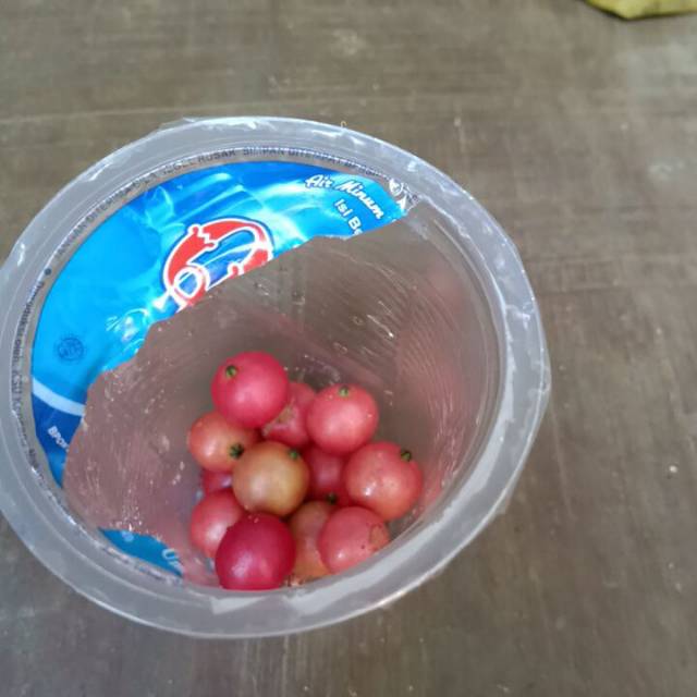 

Kersen
