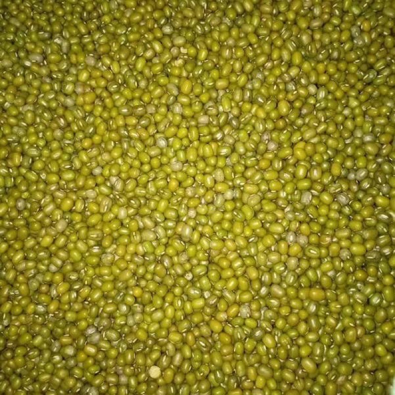 kacang hijau import australia