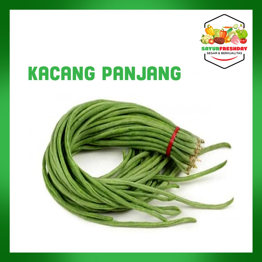 

Kacang Panjang 1ikat/200gram