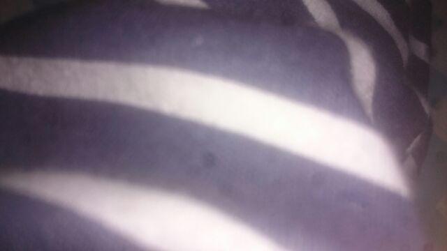 Yooyee Lunch Box 415 4 Sekat / Kotak Makan Bento Set Anti Tumpah Yoyee / Lunch Box Yooyee 415