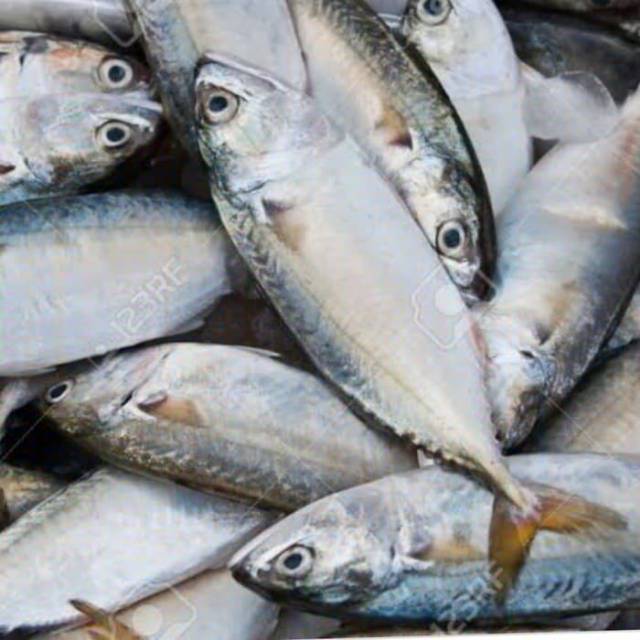 

Ikan Kembung Banjar