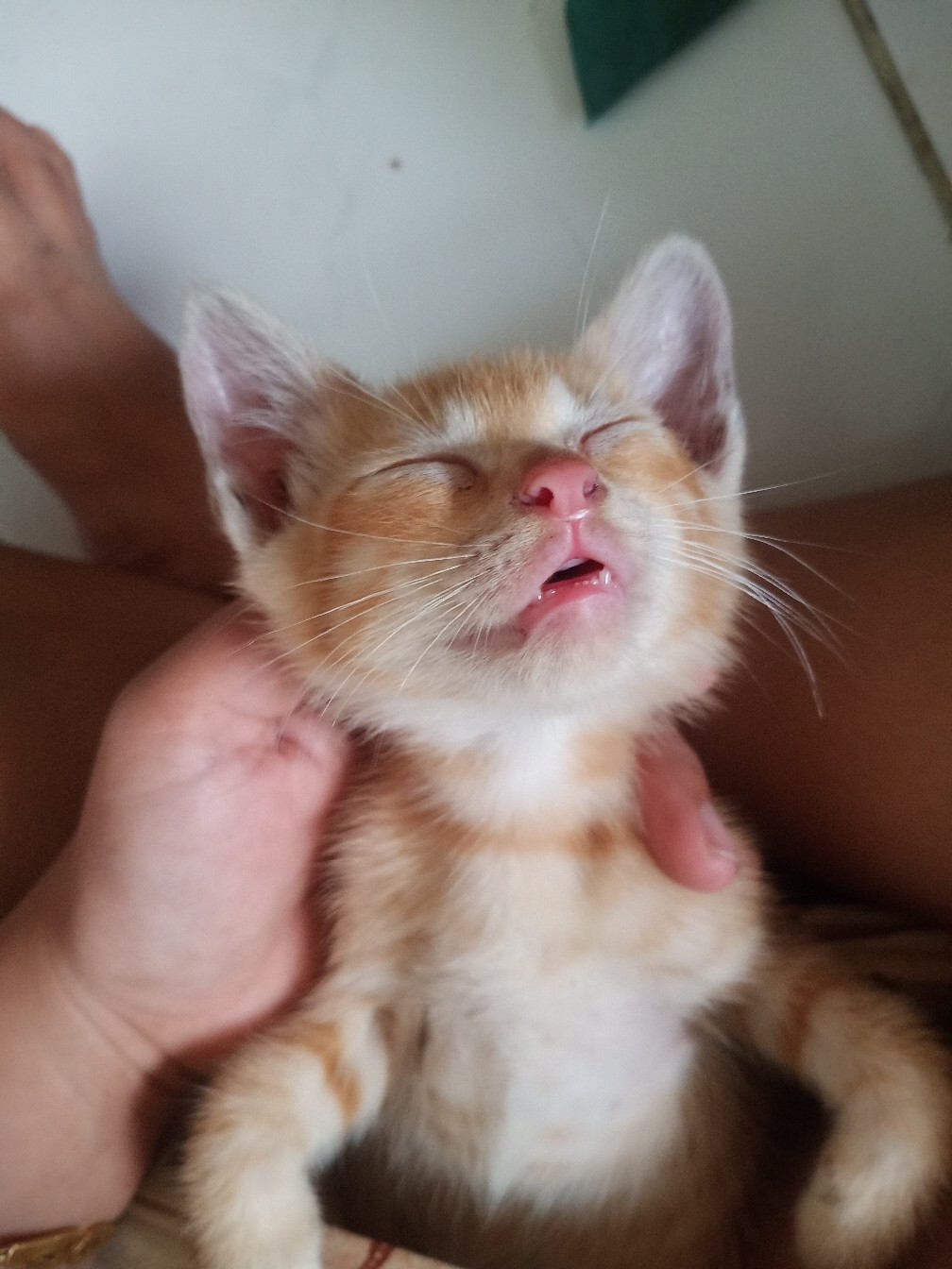 Edit Foto Prewedding/pernikahan