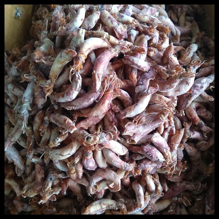 

Cumi Jarum Kering 250Gr / Sotong Kering / Cumi Asin Kering