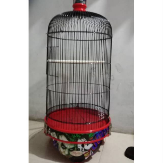kandang love bird