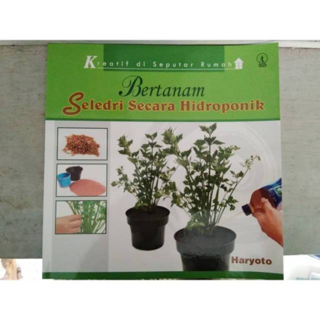 Bertanam Seledri Secara Hidroponik