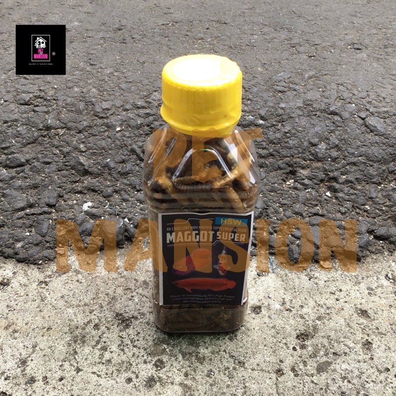 MAGGOT SUPER pupa pakan ikan maggot kering