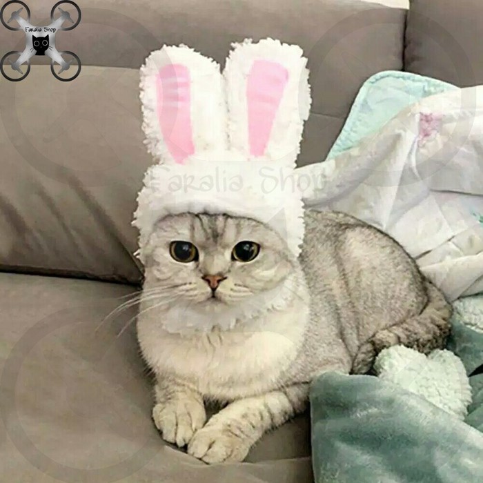 Kostum Telinga Kelinci untuk Kucing Anjing Cat Dog Costum Bando Rabbit