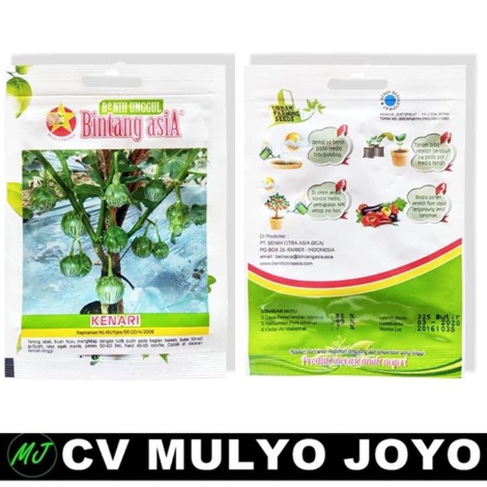 Benih Terong Lalap Benih Buah Terong Lalap benih Terong Lalap Hijau KENARI Mini Pack - 325 Biji