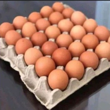 

Telur Ayam Negri 1 Papan
