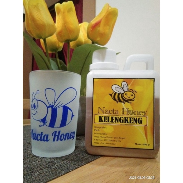 

madu kelengkeng nacta honey