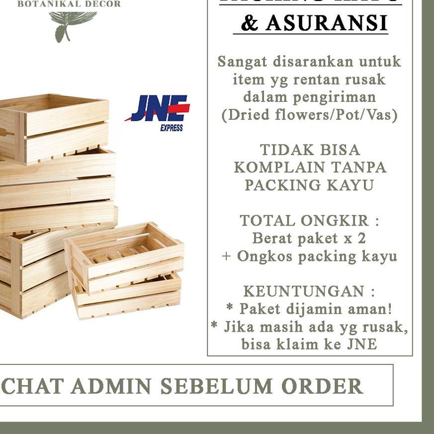 Dried Flower Preserved Daisy Bunga Kering Rodanthe White Pink dekor hand buket bucket hiasan rumah