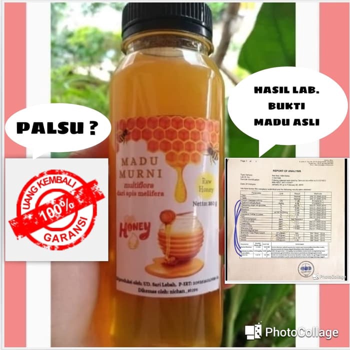 

Madu Asli / Raw Honey 350 Gram Perasan Madu Sarang Melifera