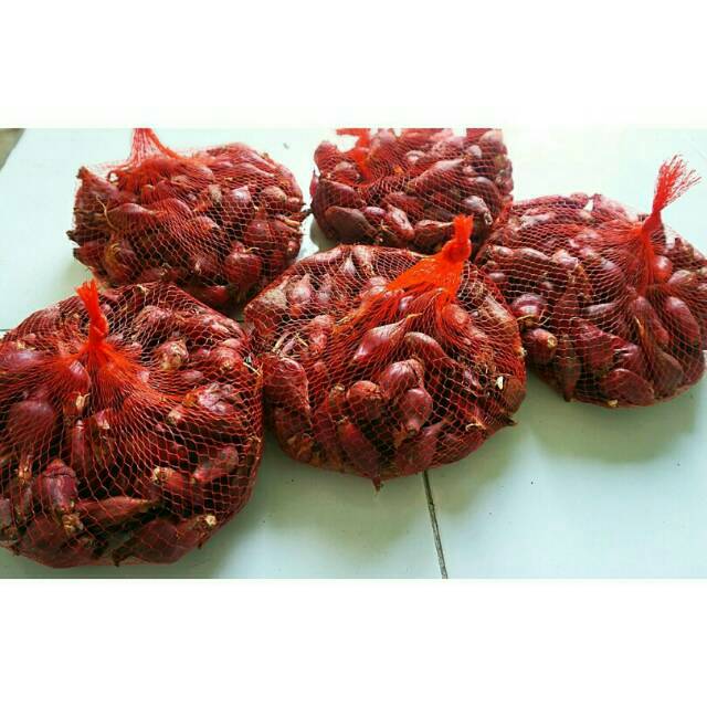 

Bawang Dayak 1kg