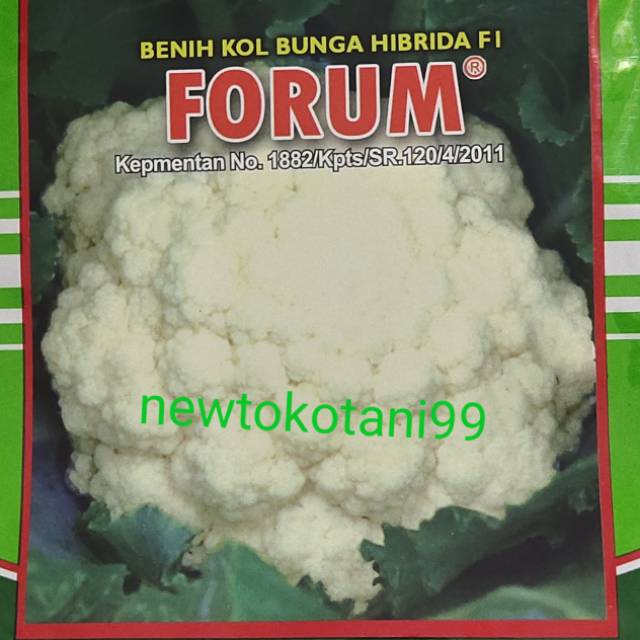 Benih kol bunga hibrida FORUM F1 10 gram bunga kol 10gr bungkul dari benih pertiwi