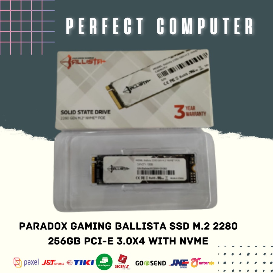 SSD PARADOX GAMING BALLISTA SSD M.2 2280 256GB PCI-e 3.0x4 with NVMe