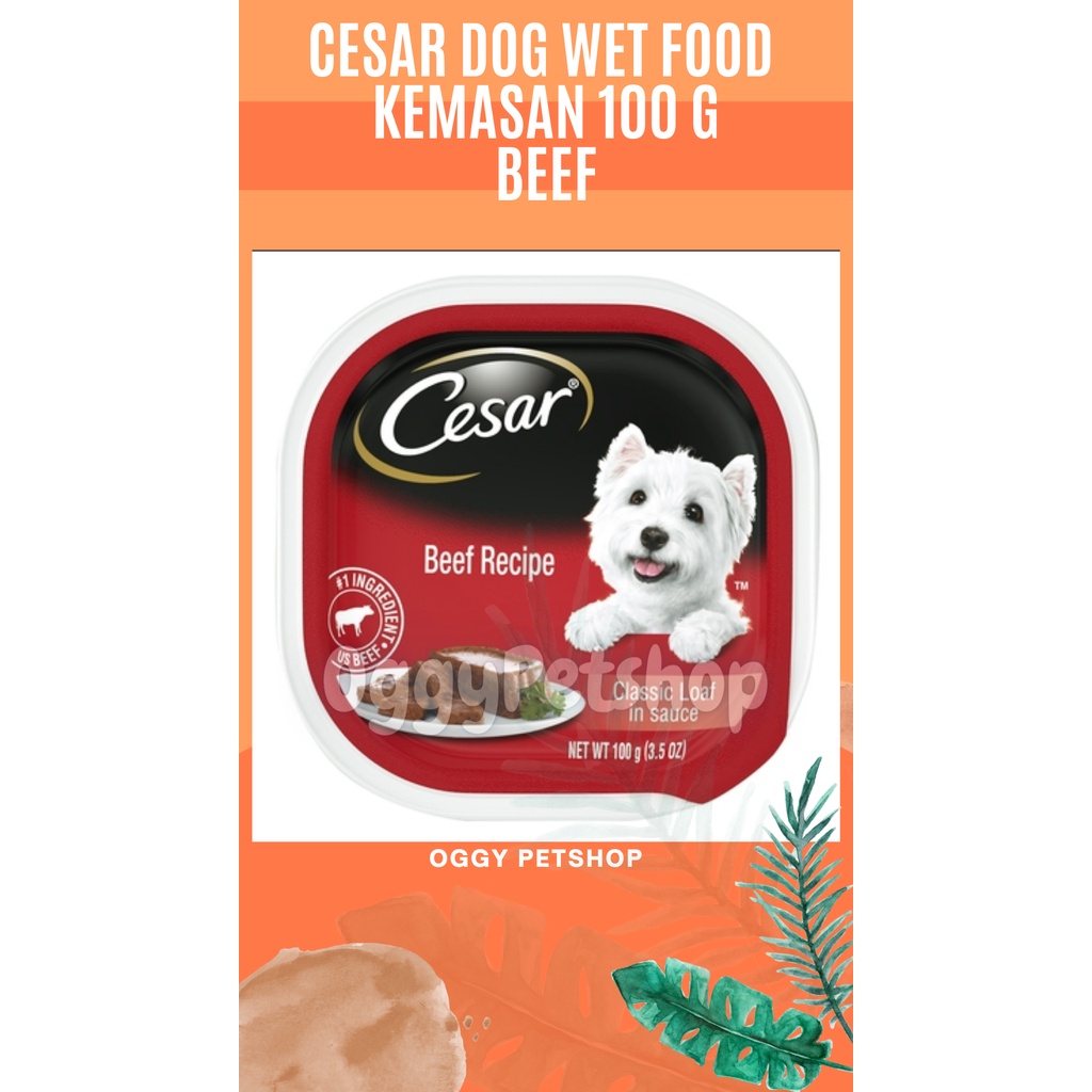 Cesar Wet Dog Food Kemasan Kaleng 100gr - Makanan Anjing Basah