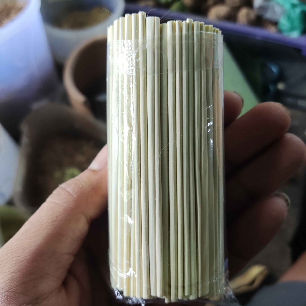 

Daun Nipah / Rempah Herbal Organik 3 bks