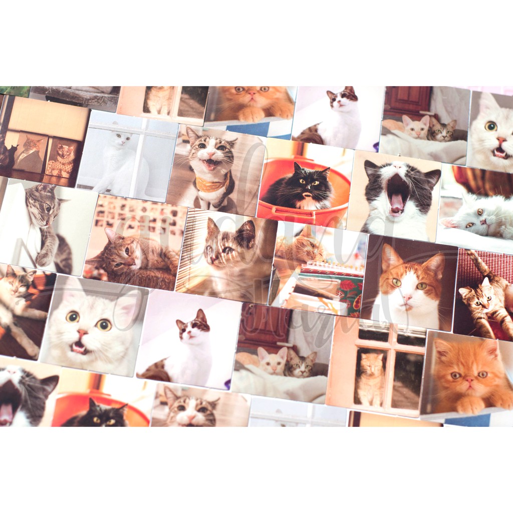 Stiker I Am Cat Imut Lucu DIY Sticker Scrapbook GH 303439