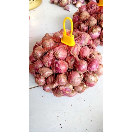 

BAWANG MERAH 1 KG MURAH BANGET