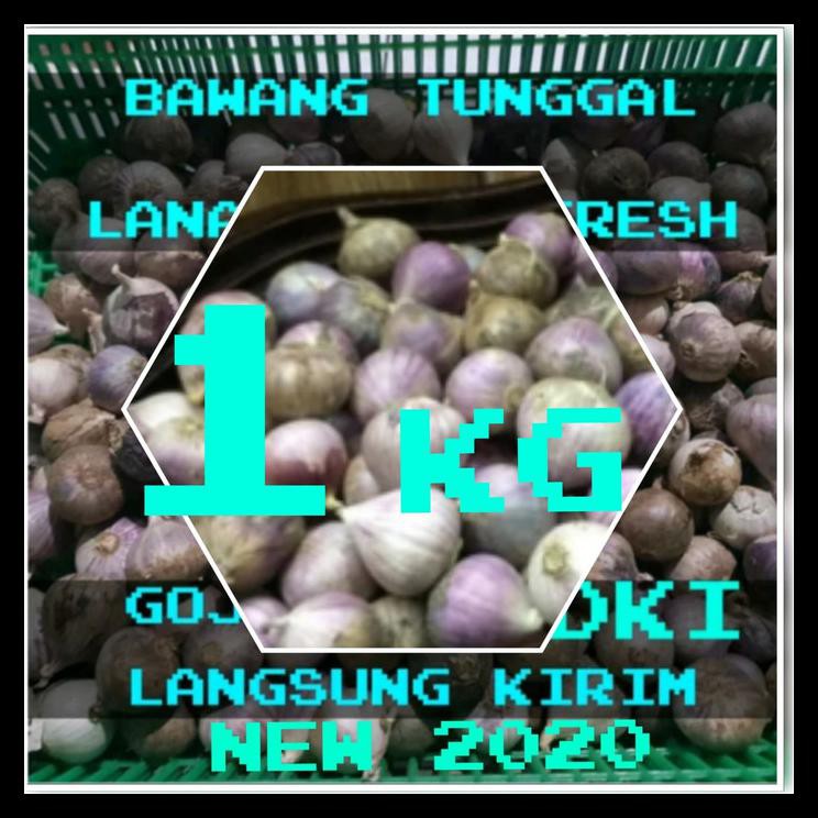 

Bisa Cod Bawang Putih Tunggal / Bawang Lanang 1000 Gram Rare Kode 115