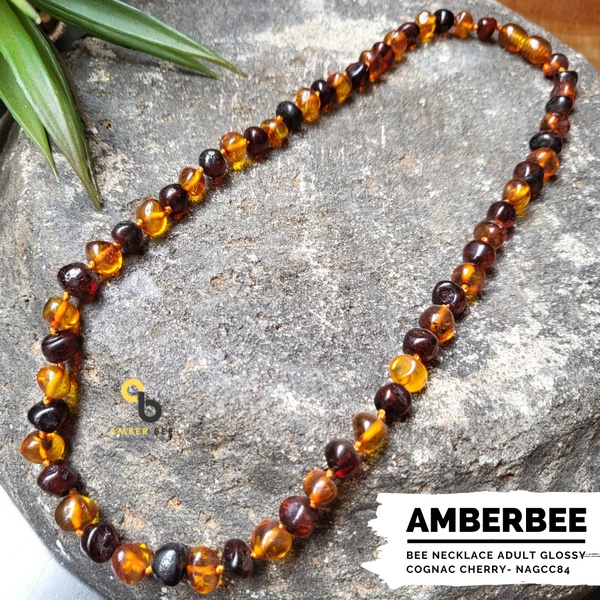 Kalung Amber Dewasa Premium Glossy Cognac Cherry by Amber Bee NAGCC84