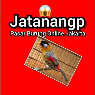 Awar Awar Mata Putih Shopee Indonesia