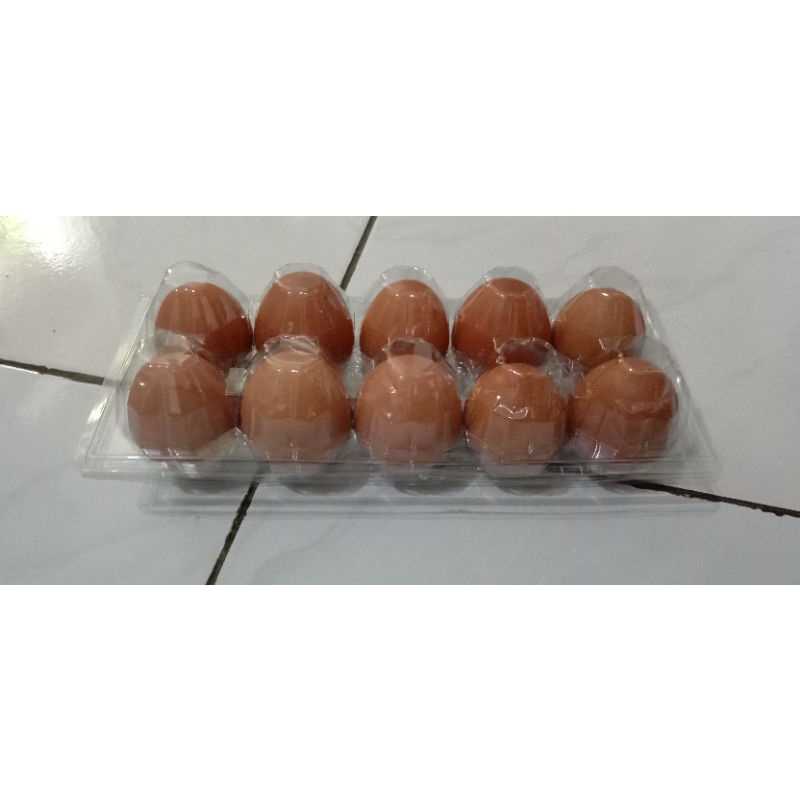 

Telur Ayam Negeri isi 10 butir ( 1 pack )