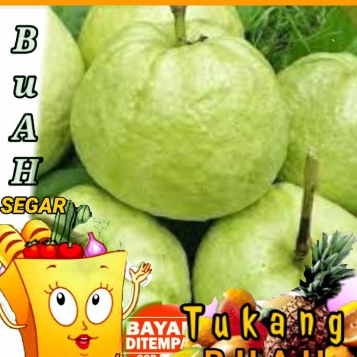 

BUAH JAMBU KRISTAL (1000gr)