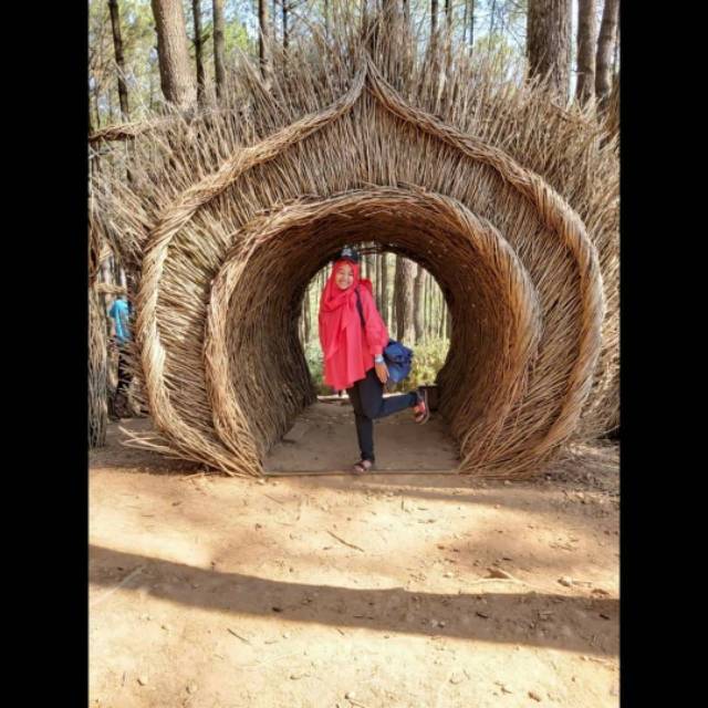 ditapratriapermatasari