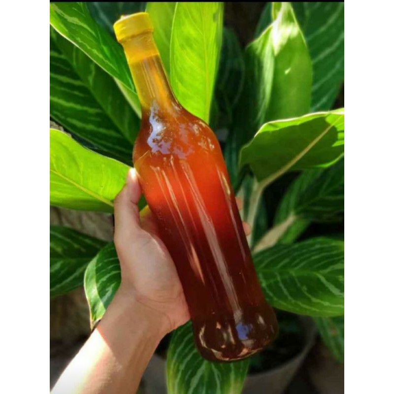 

(BISA COD BAYAR DITEMPAT) MADU TAWON ASLI MURNI DARI HUTAN 100% NO CAMPURAN KEMASAN 620 ML
