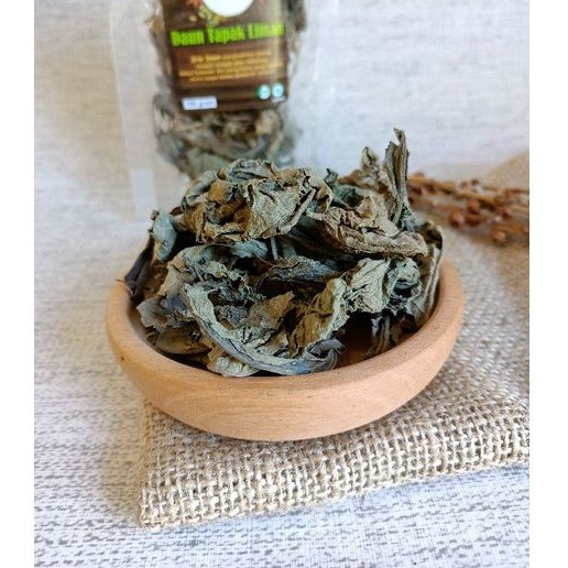 

DAUN TAPAK LIMAN KERING 100 GRAM / Good Quality / Rempah