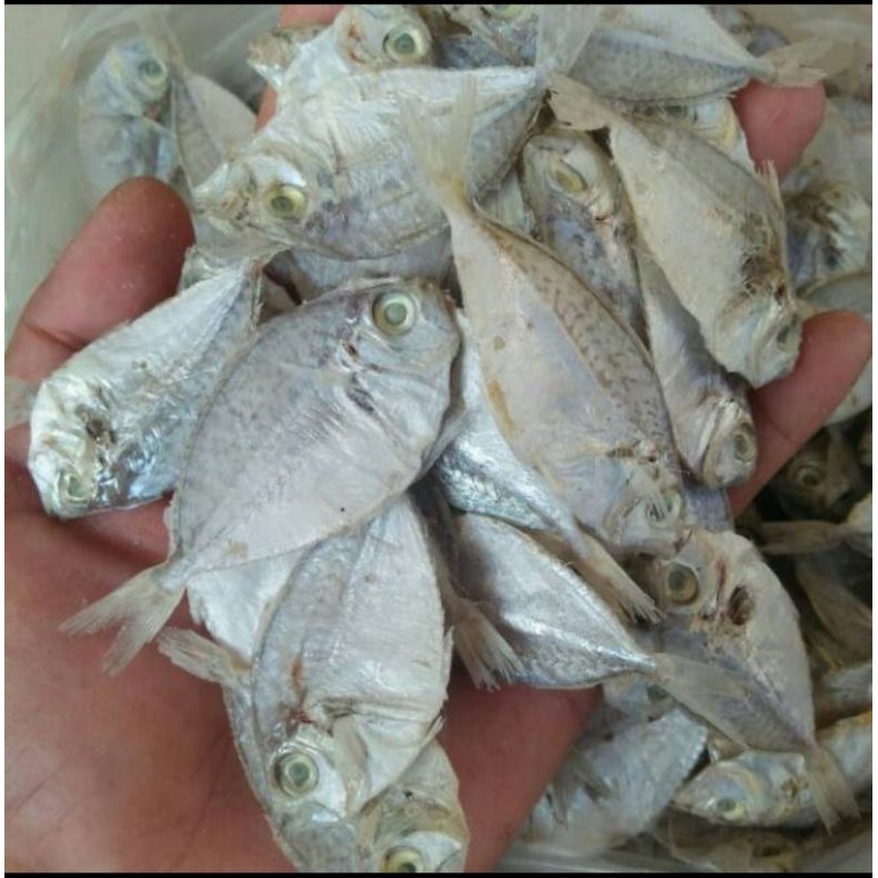 

Ikan Asin PIRIK /PETEK KECIL; 1KG termurah