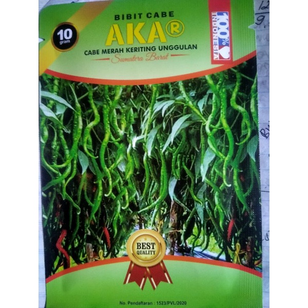 Bibit benih Cabe Merah Keriting UNGGULAN AKAR