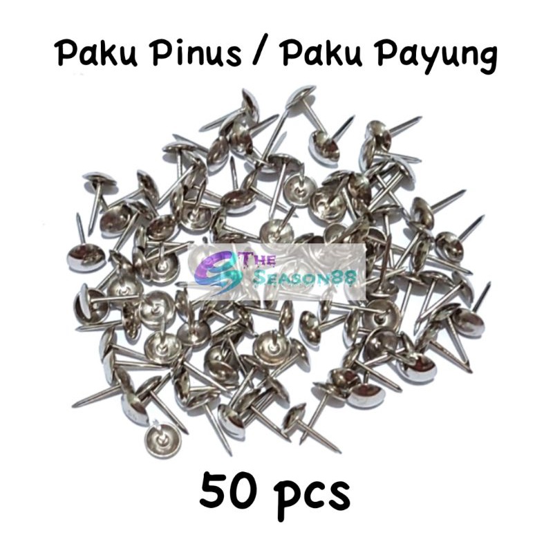 Paku Pinus / Paku Pines / Paku Payung Putih isi 50 pcs