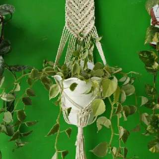 Plants hunger gantungan  pot  bunga  hanger macrame  hiasan 