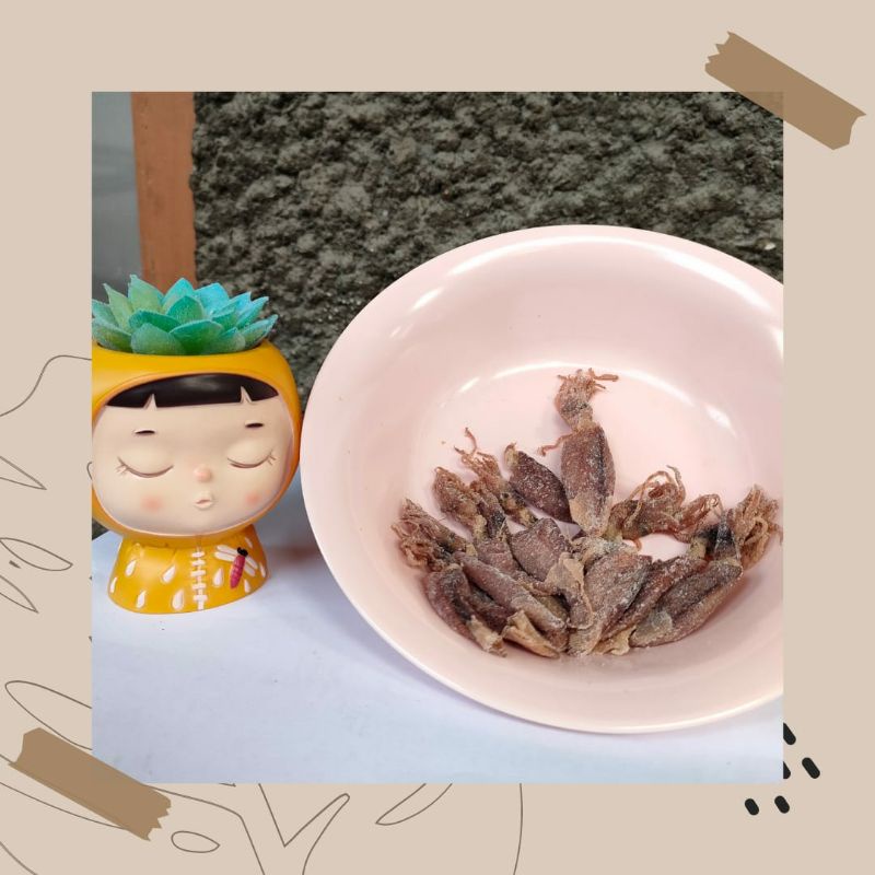 

Cumi asin 100 gram