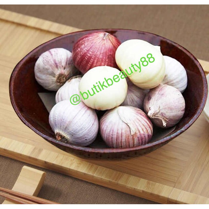 

Jual Bawang Tunggal Murah