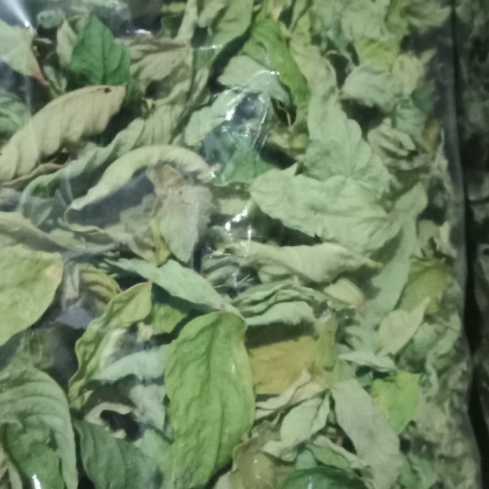 

Daun Belimbing Wuluh Kering Hijau 350gram