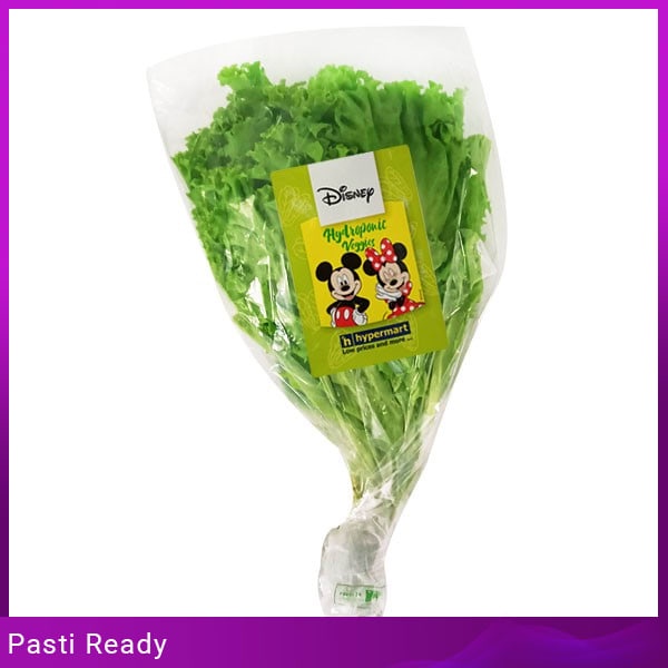 

Disney Selada Keriting Hydroponik Pack Grosir Bisa COD