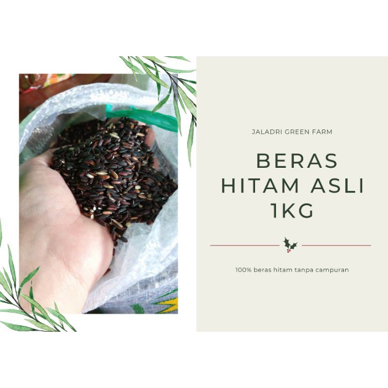 

Beras Hitam Asli 1 kg (Tersedia Organik dan Non Organik)