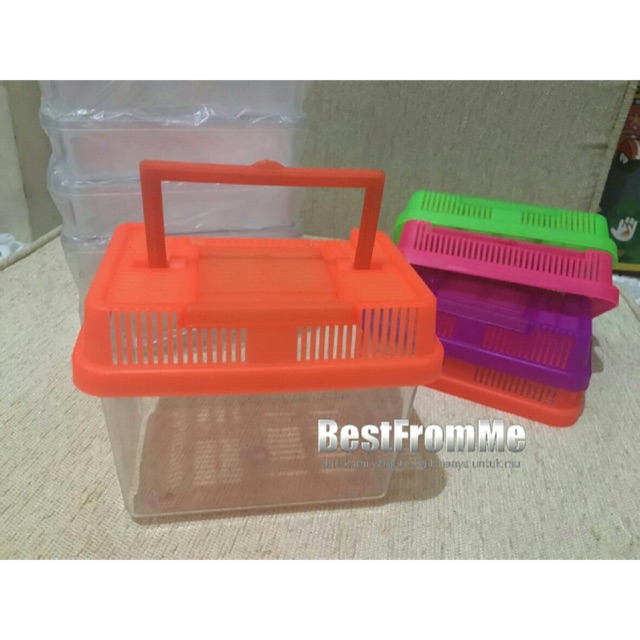 Aquarium mini terarium tempat kura kura cupang ikan hias