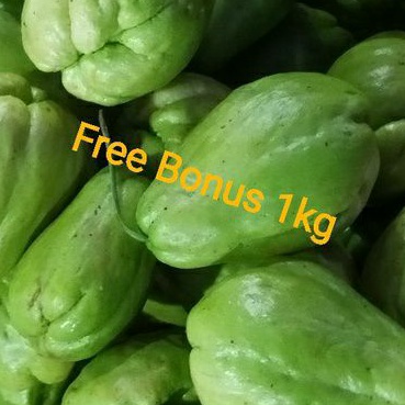 

Labu Siam + Gratis Bonus