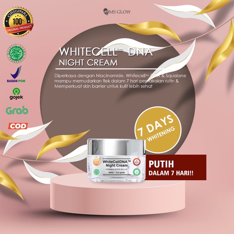 Ms Glow Nightcream White Cell DNA