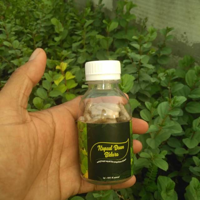Kapsul bidara