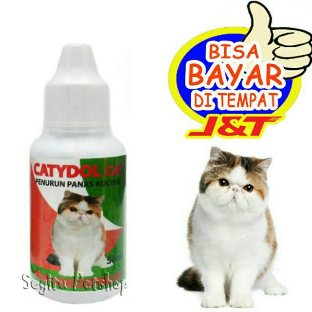 Obat Panas demam Kucing CATYDOL