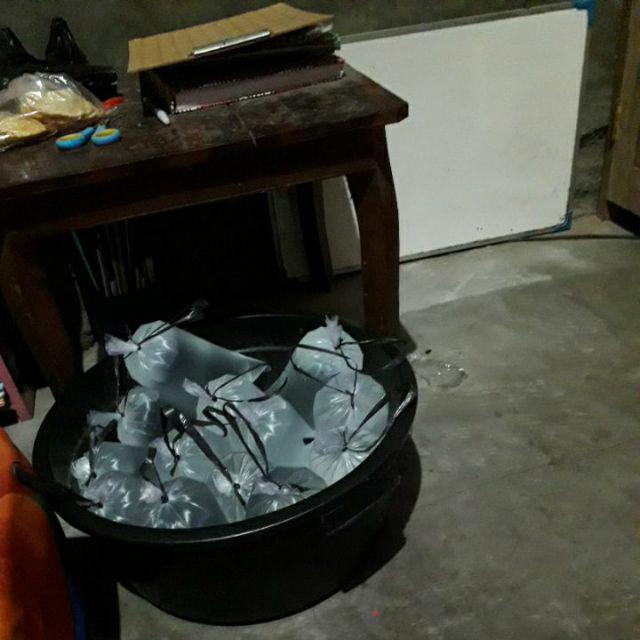 Bswart Batik Hrb026 Kenongo Hem Pendek Padi Pekalongan M L Xl Batik Pria Murah Modern Grosir Batik