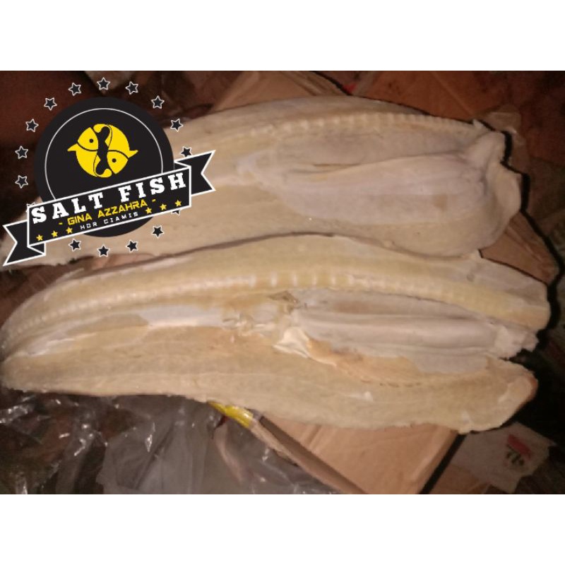 

Ikan Asin Cucut Utuh (1 Kg)