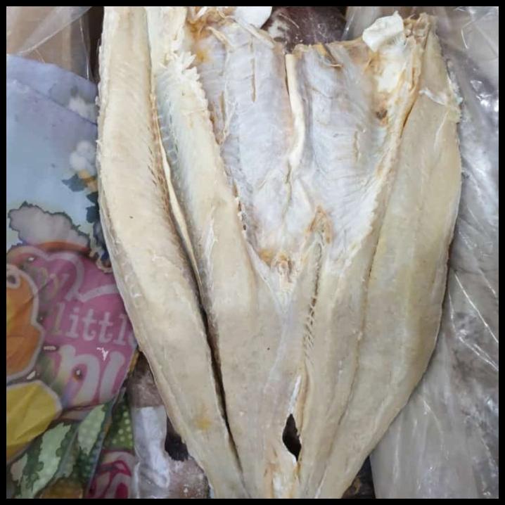 

Ikan Jambal Roti 1 Utuh Fresh