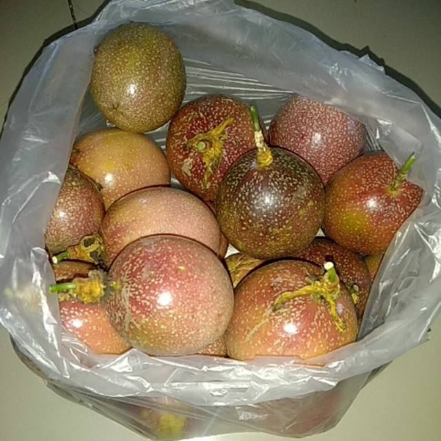 

Buah markisa