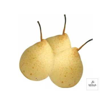 

Pear Yalie